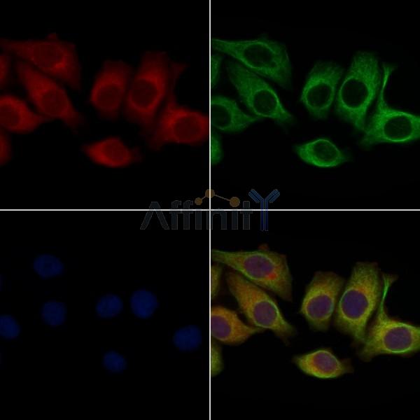 Валидация Affinity DF4907 - 16708