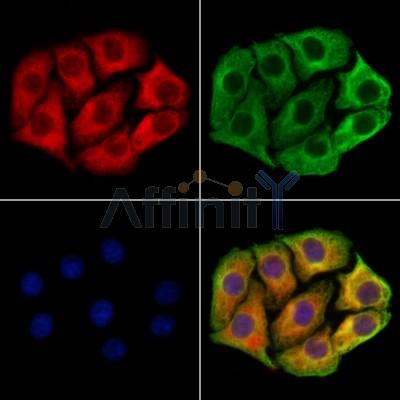 Валидация Affinity DF13277 - 8384