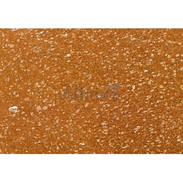 Валидация Affinity DF12070 - 6141