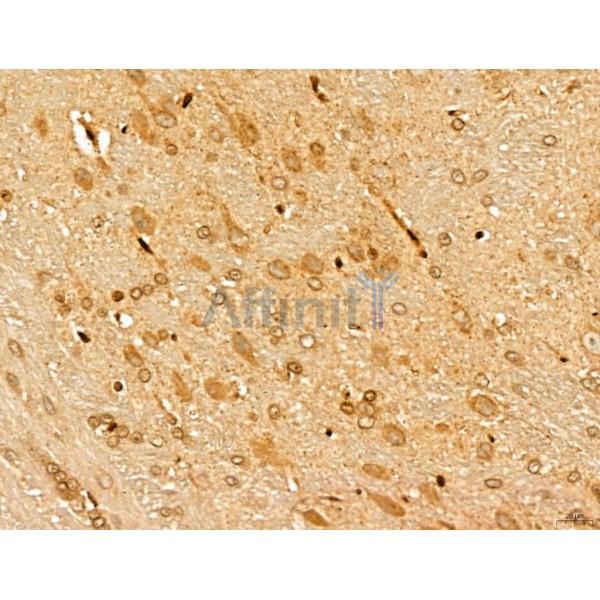 Валидация Affinity DF13138 - 8077