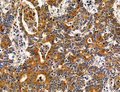 Валидация Affinity DF14584 - 10592