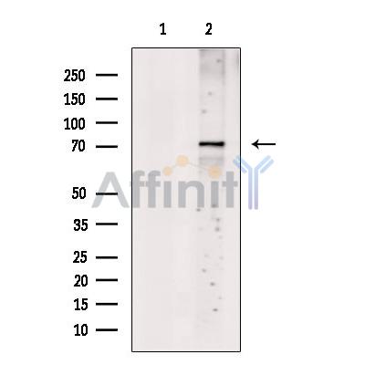 Валидация Affinity DF13500 - 8886