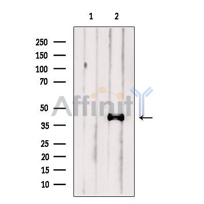 Валидация Affinity DF13683 - 9272