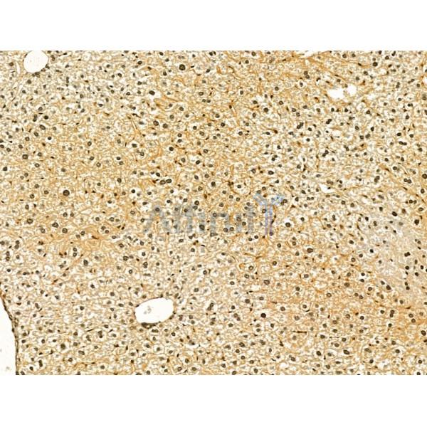 Валидация Affinity DF13205 - 8205