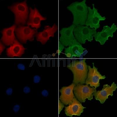 Валидация Affinity DF3692 - 14713