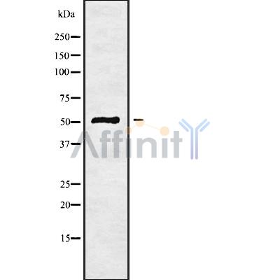 Валидация Affinity DF9668 - 22427