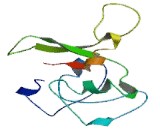 Interleukin 7 (IL7) Interleukin 7 (IL7)