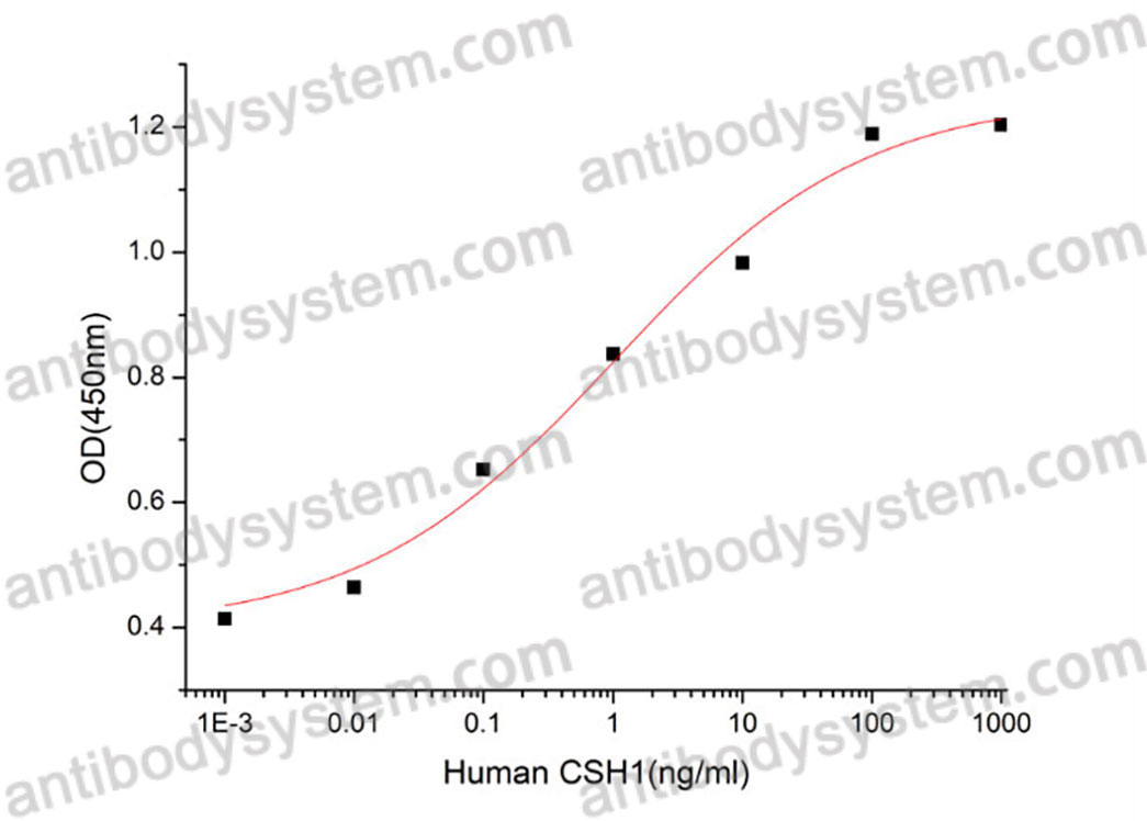 Валидация активности AntibodySystem AHC67201