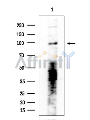 Валидация Affinity DF2970 - 13714