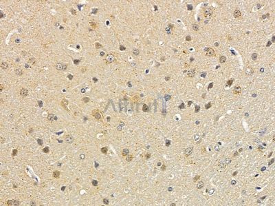 Валидация Affinity DF3488 - 14403