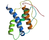 Interleukin 21 (IL21) Interleukin 21 (IL21)