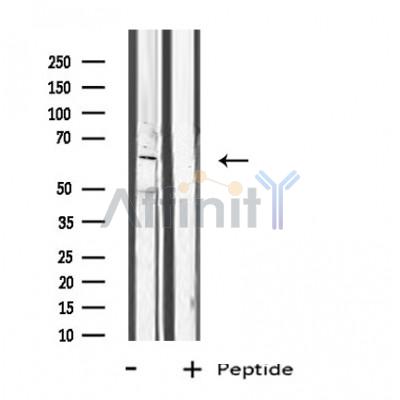 Валидация Affinity DF4742 - 16451