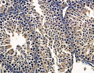 Валидация Affinity DF15811 - 12301