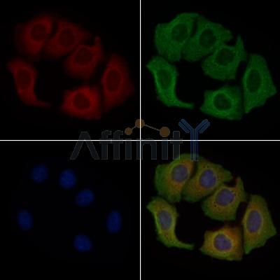 Валидация Affinity DF9365 - 21886