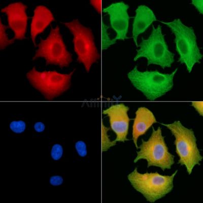 Валидация Affinity DF13846 - 9551