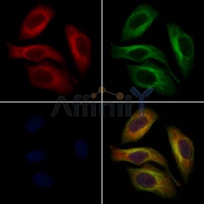 Валидация Affinity AF7797 - 4514