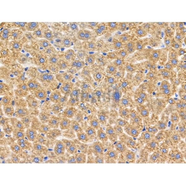 Валидация Affinity DF3566 - 14518