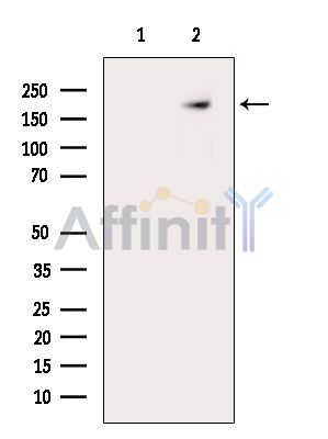 Валидация Affinity DF8630 - 20573