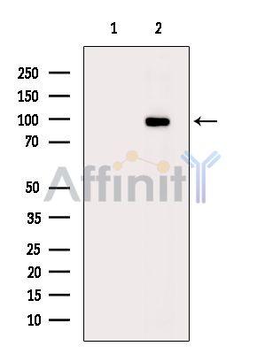 Валидация Affinity DF14413 - 10350