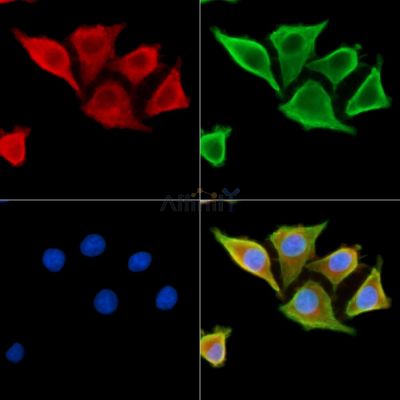 Валидация Affinity DF14221 - 10061