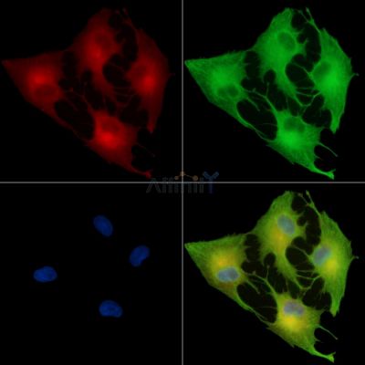 Валидация Affinity DF14431 - 10383