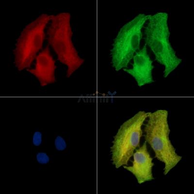 Валидация Affinity DF16099 - 12675