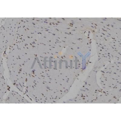 Валидация Affinity DF6895 - 18489