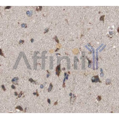 Валидация Affinity AF5121 - 2490