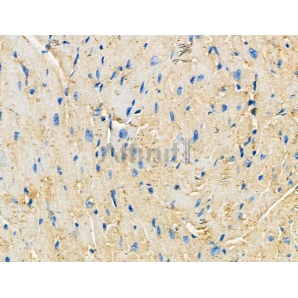 Валидация Affinity AF5293 - 2834