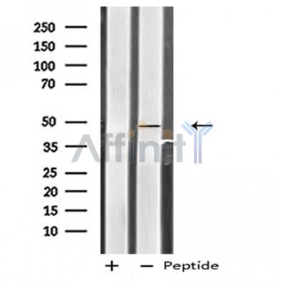 Валидация Affinity DF4846 - 16611
