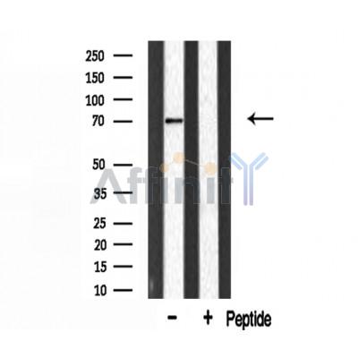 Валидация Affinity DF3031 - 13761