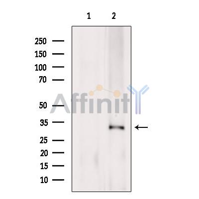 Валидация Affinity DF13670 - 9245