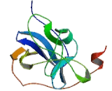 Retinoic Acid Inducible Gene 1 Protein (RIG1) Retinoic Acid Inducible Gene 1 Protein (RIG1)