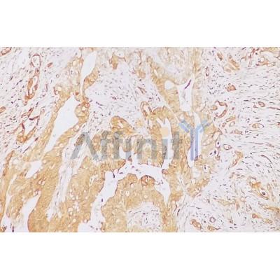 Валидация Affinity DF13262 - 8347