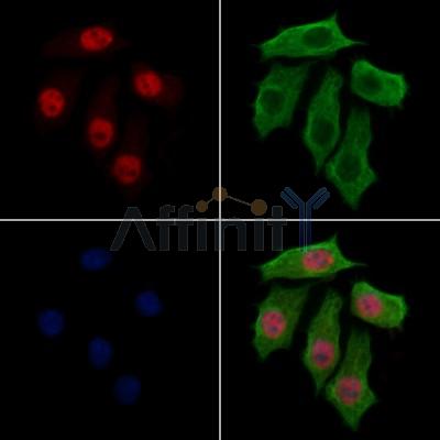 Валидация Affinity DF13078 - 7950