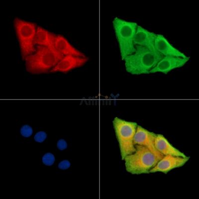 Валидация Affinity DF15428 - 11767