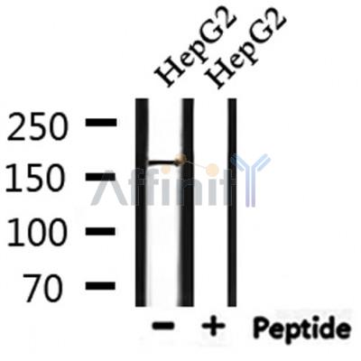 Валидация Affinity DF2623 - 13313