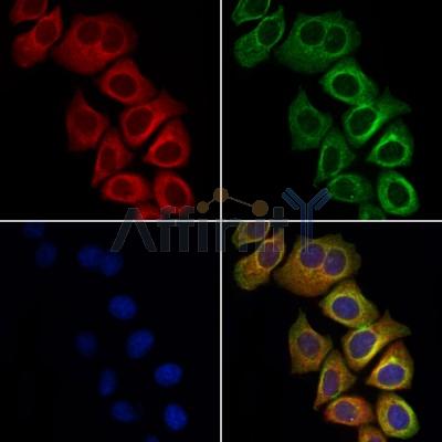 Валидация Affinity DF8539 - 20422