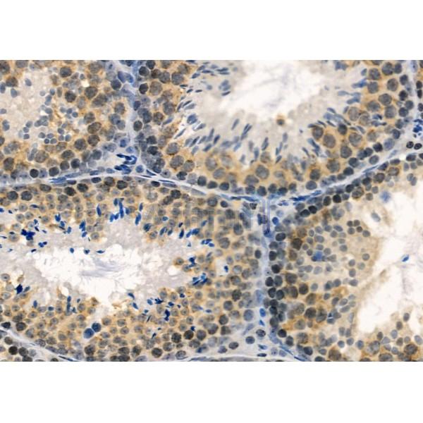 Валидация Affinity DF10308 - 5928