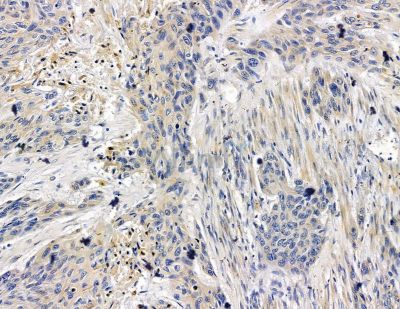 Валидация Affinity DF15480 - 11849