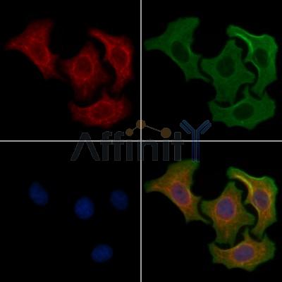 Валидация Affinity DF3714 - 14765