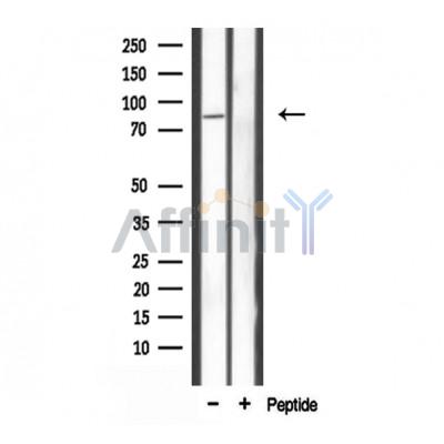 Валидация Affinity DF3775 - 14872