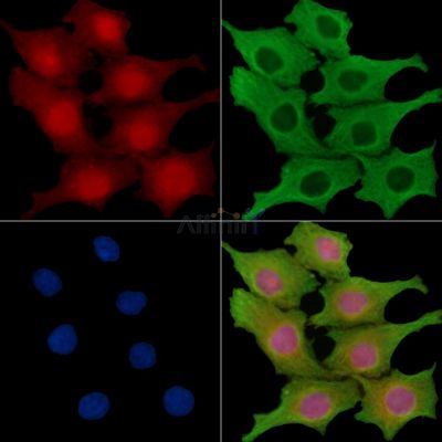 Валидация Affinity DF15116 - 11365