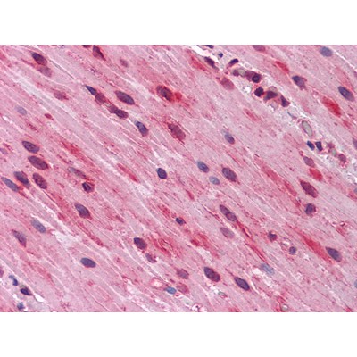 Валидация Affinity BF0568 - 5299