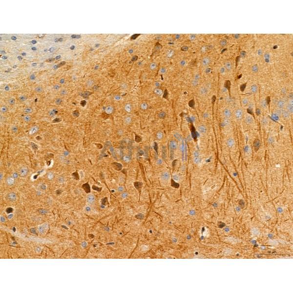 Валидация Affinity DF7412 - 19153