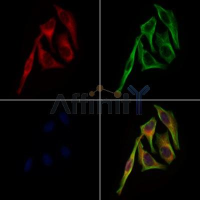 Валидация Affinity DF4529 - 16103