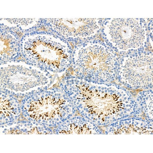 Валидация Affinity DF4865 - 16641