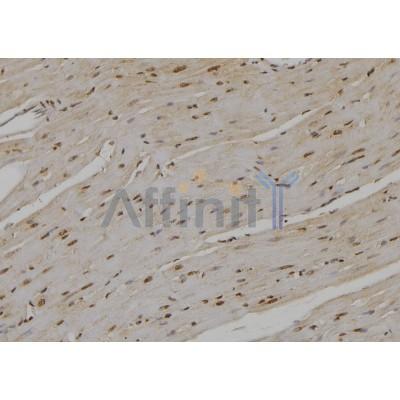 Валидация Affinity DF6715 - 18236