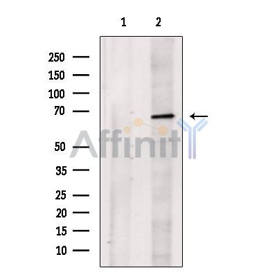 Валидация Affinity DF13533 - 8952