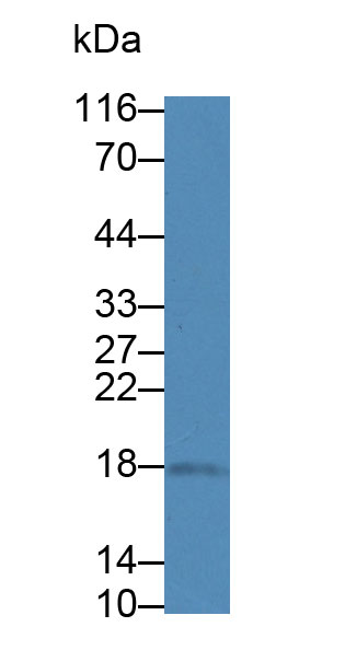 28380
